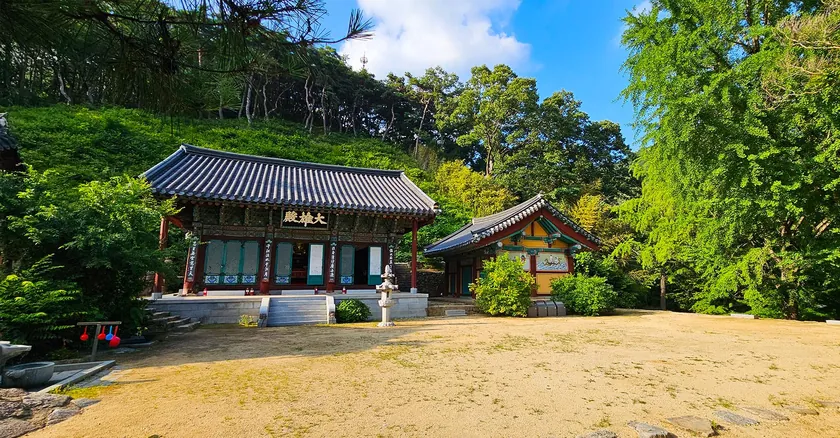 넓은 모래 마당 너머의 대웅전과 벽화가 그려진 옆 건물, 오른쪽의 초록 잎 무성한 큰 나무와 파란 하늘